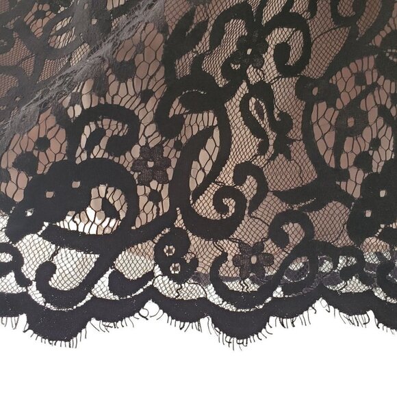 Ann Taylor Loft Womens Sheer Black Lace Pencil Skirt Scalloped Hem Lined Size 2 - Picture 2 of 9